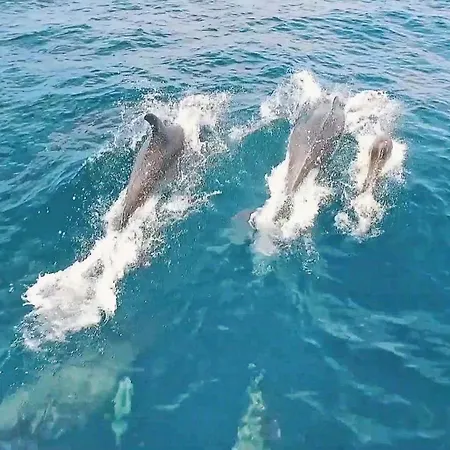 Peace By Algarve Vacation Villa Pêra