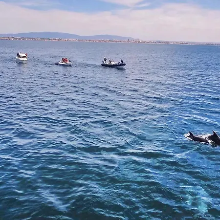 Villa Peace By Algarve Vacation Pêra